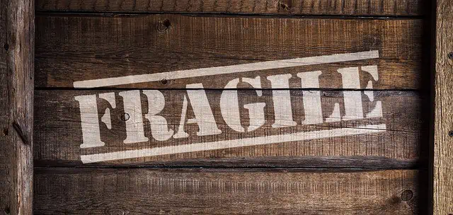 Best Moving Tips for Keeping Fragile Objects Safe