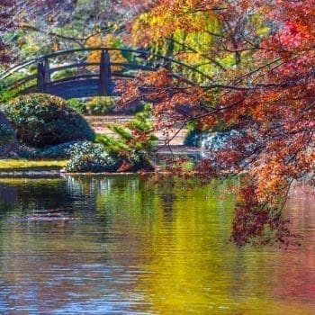 Japanese gardens in Fort Worth, Texas